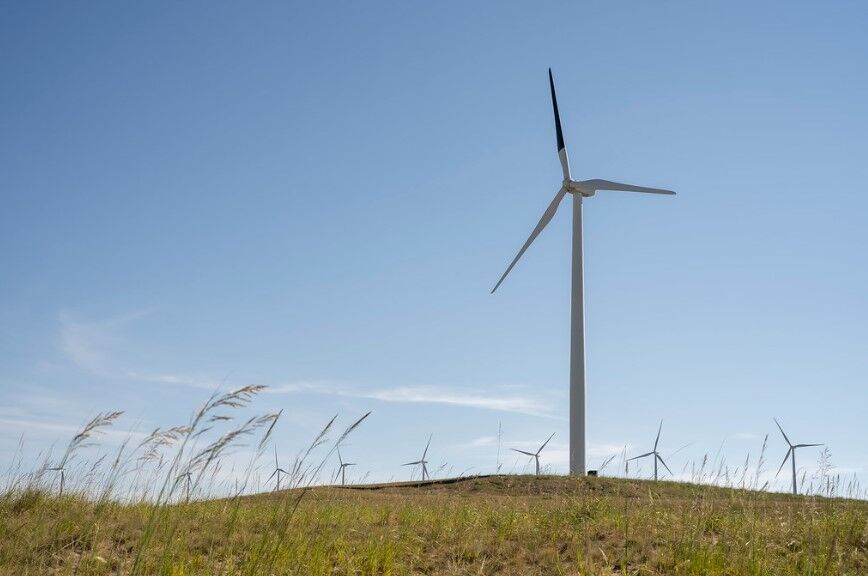 Oregon researchers paint wind turbines partly black to reduce bird deaths